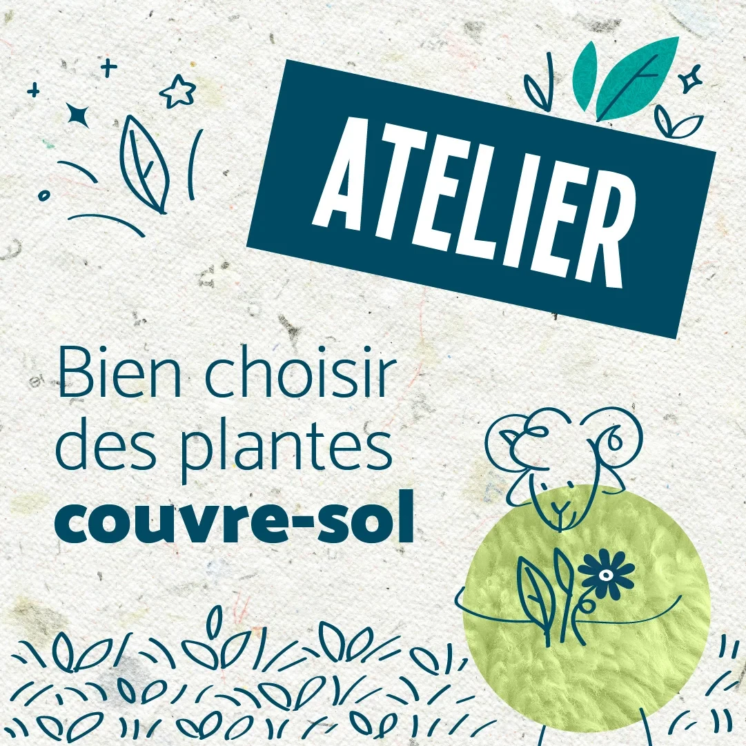 Illustration d’un atelier du G4DEC intitulé « Bien choisir des plantes couvre-sol », avec un personnage dessiné tenant des végétaux, symbole de jardinage écologique et de biodiversité locale.