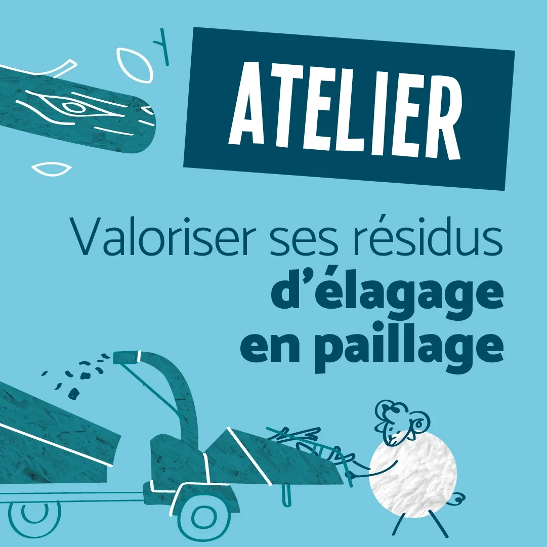 Illustration d’un atelier du G4DEC sur la valorisation des résidus d’élagage en paillage, avec une broyeuse stylisée et un mouton, emblème des pratiques écoresponsables.
