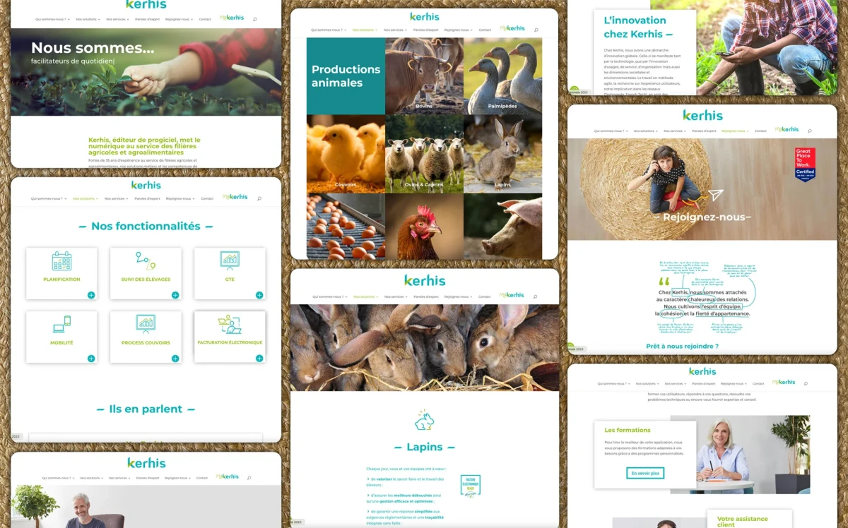 Écran d’ordinateur portable affichant la page d’accueil du site internet de Kerhis, éditeur de progiciels dédiés aux filières agricoles et agroalimentaires.