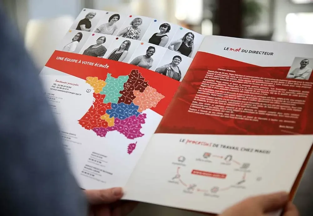 Double page du catalogue Magsi présentant une carte de France des secteurs commerciaux et l’équipe, fruit d’un travail collaboratif mené avec l’agence Hippocampe