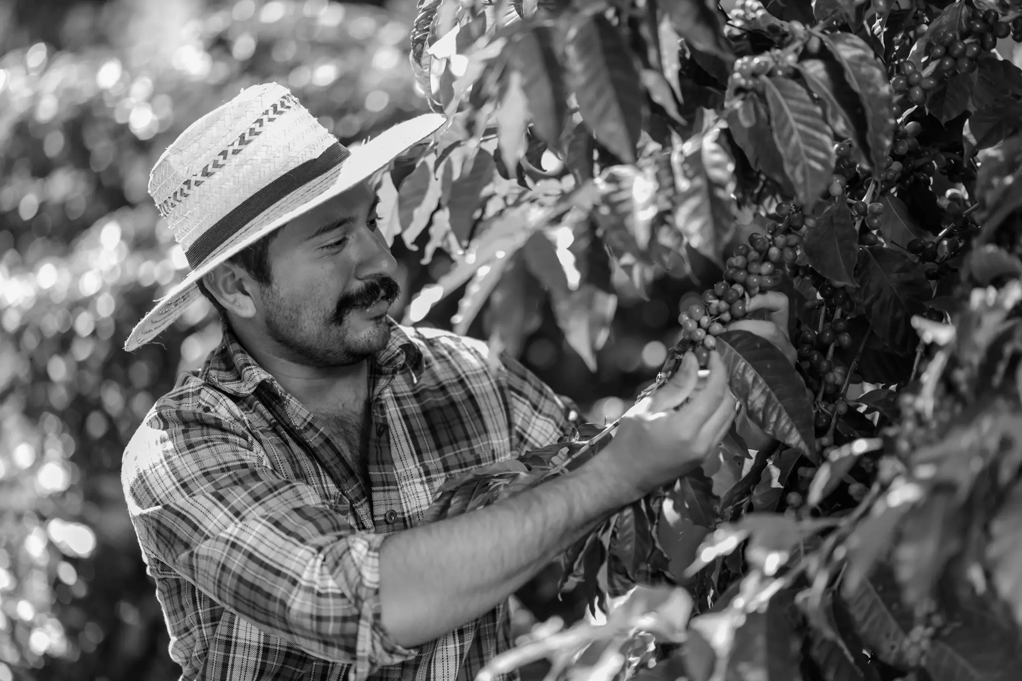 Commerce équitable zoom