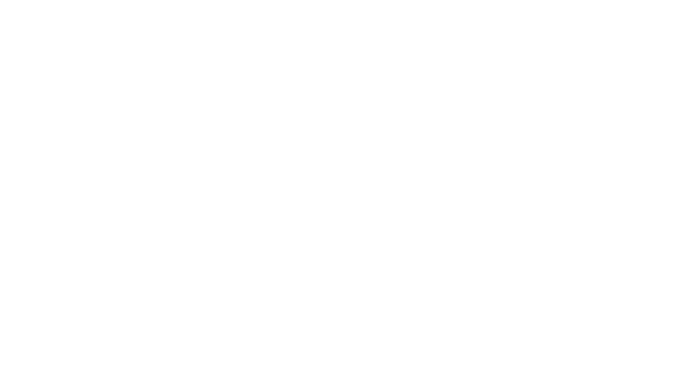 Logo Magsi