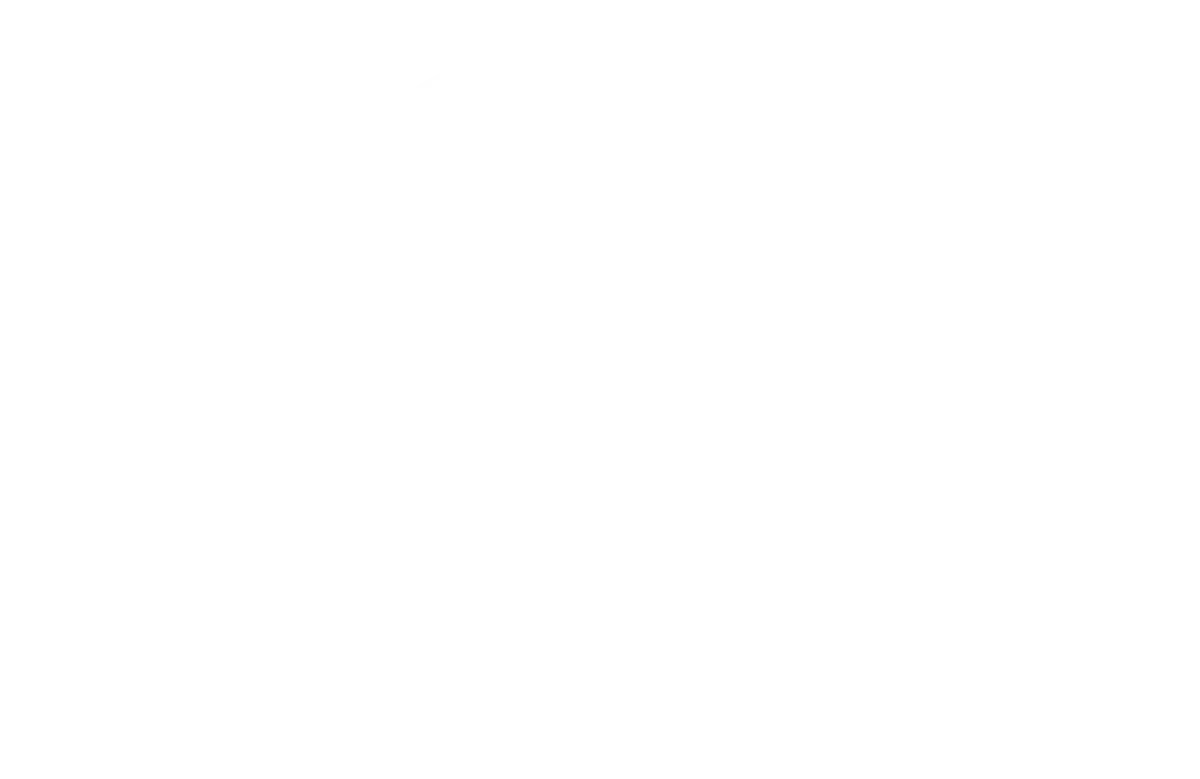 Logo euro argo