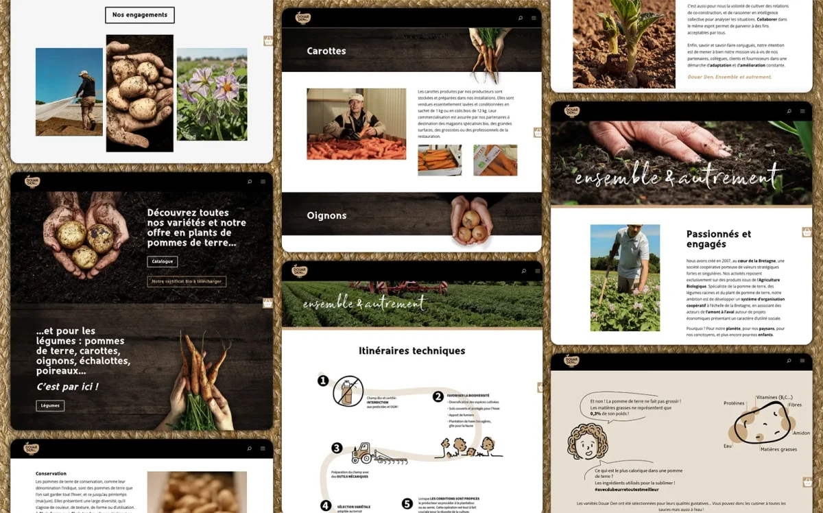 Aperçu du site internet de Douar Den – mise en avant des variétés de légumes bio, des itinéraires techniques et de la démarche coopérative en Bretagne.